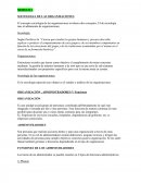 Resumen comportamiento organizacional