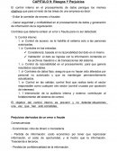 CAPITULO 9: Riesgos Y Perjuicios