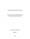 Ensayo sobre Dimensión corporal y siete cuerpos