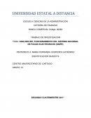 ANALISIS DEL FUNCIONAMIENTO DEL SISTEMA NACIONAL DE PAGOS ELECTRONICOS (SINPE)