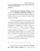 ESCRITO PARTICION DE BIENES INICIO SECCION 4TA