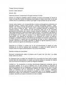 Trabajo Química Ambiental