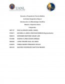 Introducción a la Metodología Científica