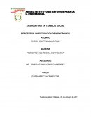 REPORTE DE INVESTIGACION DE MONOPOLIOS