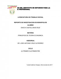 REPORTE DE INVESTIGACION DE MONOPOLIOS. Página 1