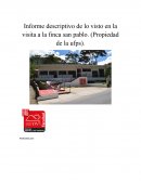 Informe descriptivo de lo visto en la visita a la finca san pablo. (Propiedad de la ufps).