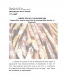 Combustibles para un nuevo ciclo de acumulación y dominio en Guatemala