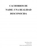 Reflexión libro: "Cachorros de nadie" de Enrique MArtinez