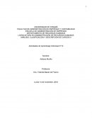 Actividad n°10 Analisis, clasificación y descricipcion de cargos