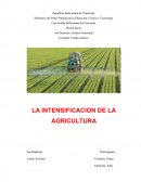 LA INTENSIFICACION DE LA AGRICULTURA