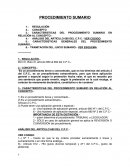 PROCEDIMIENTO SUMARIO JUICIO