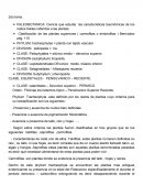 Laboratorio Presencia o ausencia de pigmentación fotosintética