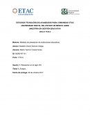 Modelos de planeación de instituciones educativas.
