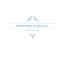 Ensayo de la Identificación de propiedades