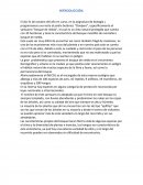 Bosque de niebla Introducción.