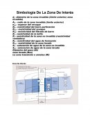 Como se da los Tumbaburros Caracterización Estática