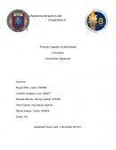 Producto Integrador de Aprendizaje Transversal ‘’Movimientos migratorios’’