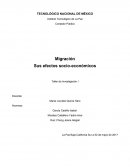CUALES SON EFECTOS ECONOMICOS DE LA MIGRACION EN MEXICO