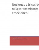 Nociones básicas de neurotransmisores y emociones
