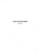 CASO CHILEAN WINES