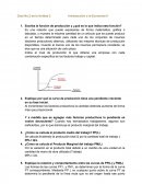 Escriba la función de producción y ¿qué es lo que indica esta función?