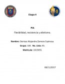 Etapa 4 PIA Flexibilidad, resistencia y atletismo