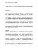 Objetivo: Reconocer las actitudes y aptitudes de un buen Líder en una empresa