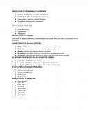 RESOLUCION DE PROBLEMAS DE ALGORITMOS