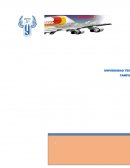 Fidelizacion del cliente. Caso de la aerolínea IBERIA