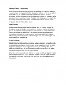 Cambios Físicos y endocrinos