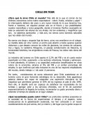 ¿Para qué le sirve Chile al mundo? Más allá de lo que el común de los chilenos conocemos como matriz exportadora