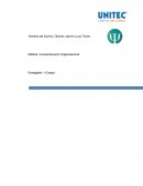 Materia: Comportamiento Organizacional