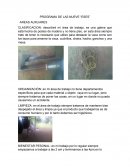 AREAS AUXLIARES PROGRAMA DE LAS NUEVE “ESES”