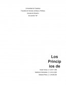Los principios de la tributación