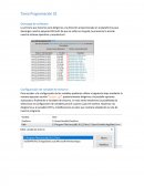 Tarea Programación 01 Descarga de software