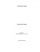 Evolución del trabajo Cinco años antes de escribir