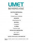Análisis personal de como la contaminación afecta el medio ambiente.