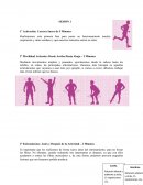 Sesiones de calentamiento