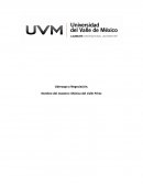 Proyecto DE Liderazgo y Negociación.
