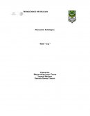 Planeación Estratégica Multi tray