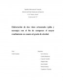 Como se da la Elaboración de vino. (proyecto)