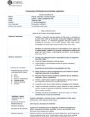 Formato para la Planificación de una Actividad Colaborativa