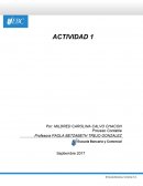 Proceso contable act 1