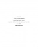 Control 5 Acabado y Terminado de Materiales