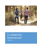 Trabajo final La adopción homosexual
