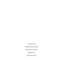 El gran Como se da Proyecto final de Finanzas