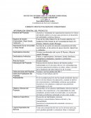 FORMATO PROYECTOS SERVICIO COMUNITARIO INFORMACION GENERAL DEL PROYECTO