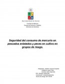 Seguridad del consumo de mercurio en pescados enlatados y peces de cultivo en grupos de riesgo