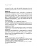 Resumen Ejecutivo Excelencia