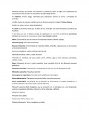 METALURGIA Cobre y Bronce